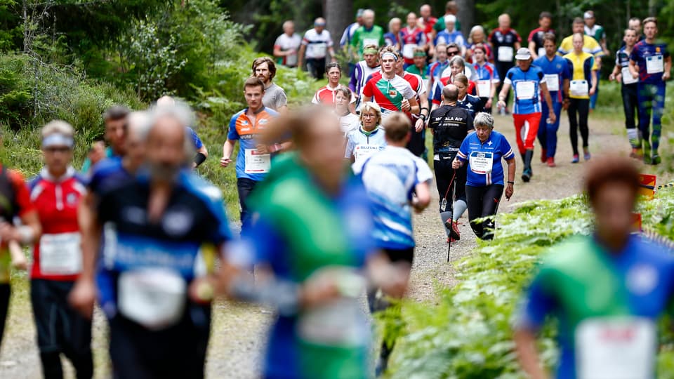 Stor grupp människor ägnar sig åt orientering