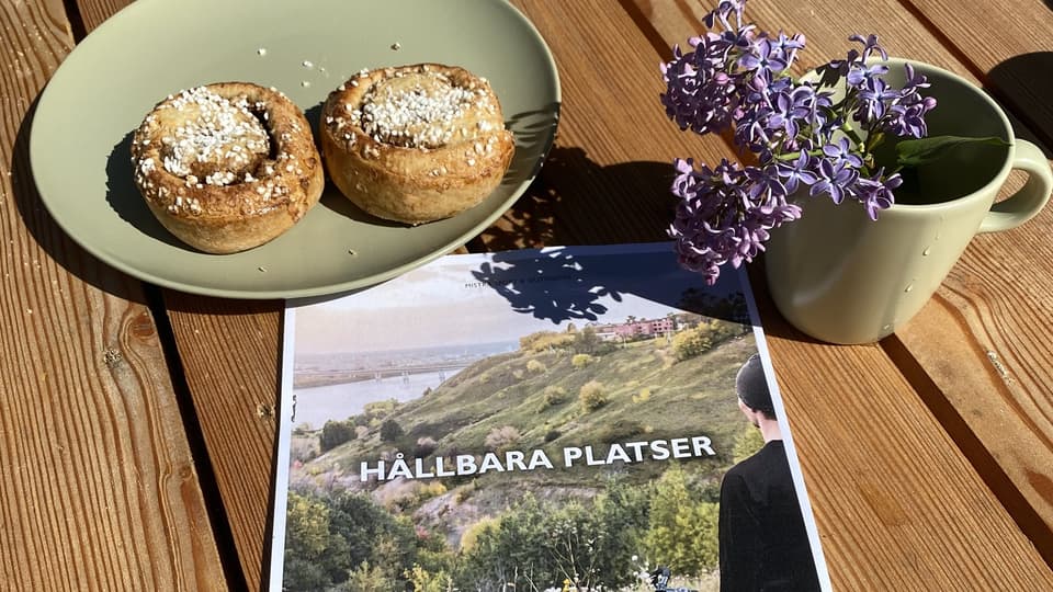 Boken "Hållbara platser" ligger på ett träbord bredvid ett fat med kanelbullar och en syrenkvist i en mugg.